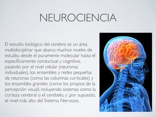 La Neurociencia Del Aprendizaje: Qué Nos Dice El Cerebro Sobre Cómo ...