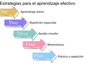 Los Principios Del Aprendizaje Efectivo: Claves Para Mejorar Tus Habilidades